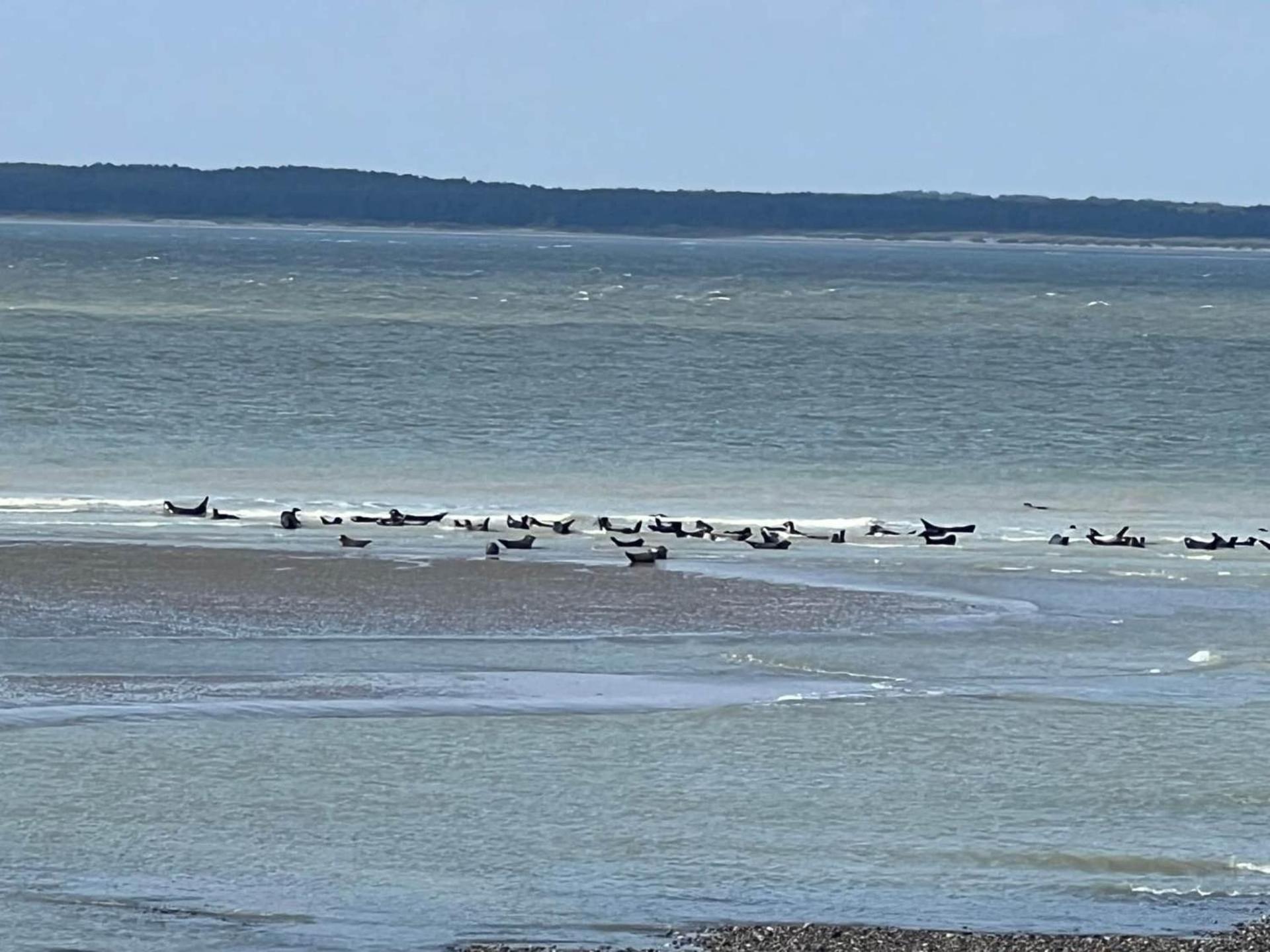 Caprices De Mer Appartement Avec Grand Balcon Et Vue A 300 M Plage, Apercu Mer, Lit Queen Size, Mers Les Bains Le Treport , Petit Dejeuner En Option, 2 Velos Fournis Buitenkant foto